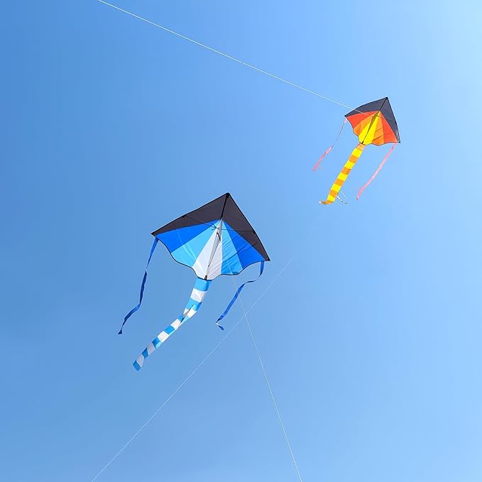 Simxkai Delta Kite for Beginners Toddlers