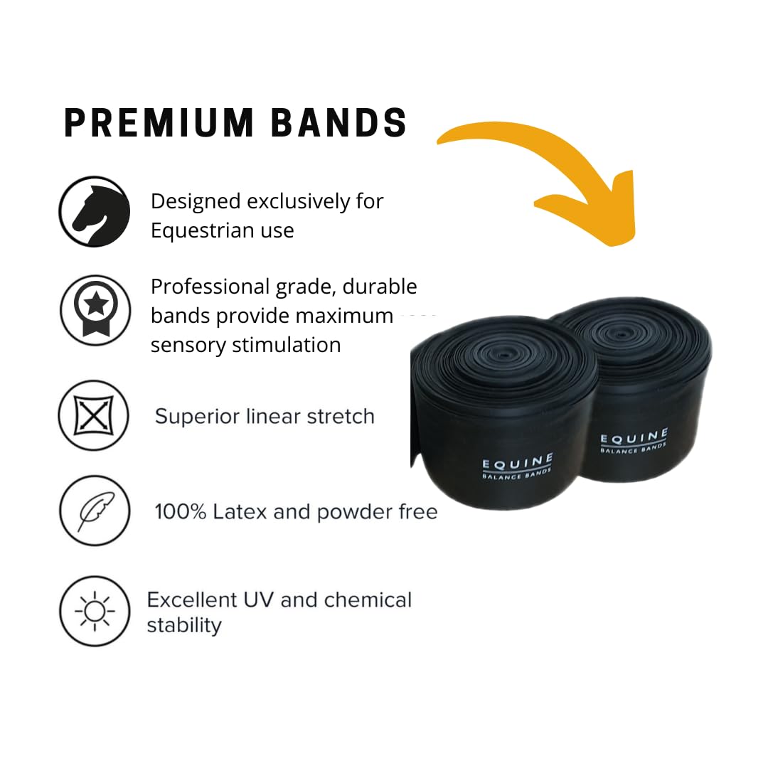 Equine Band System - Core Training Aid for Horses. Saddle Pad and Equibands System (All Purpose)