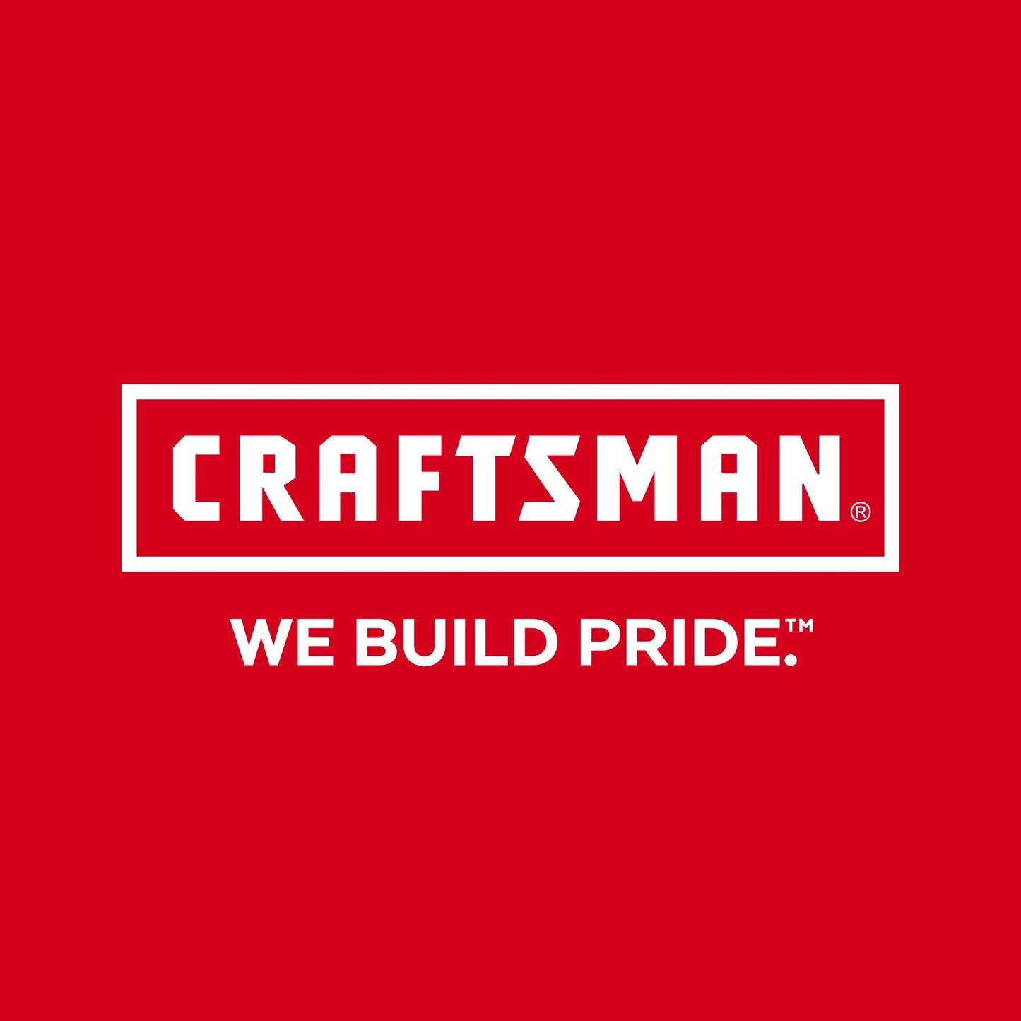 CRAFTSMAN Large Storage Organizer, 15 Compartments (CMST14027)