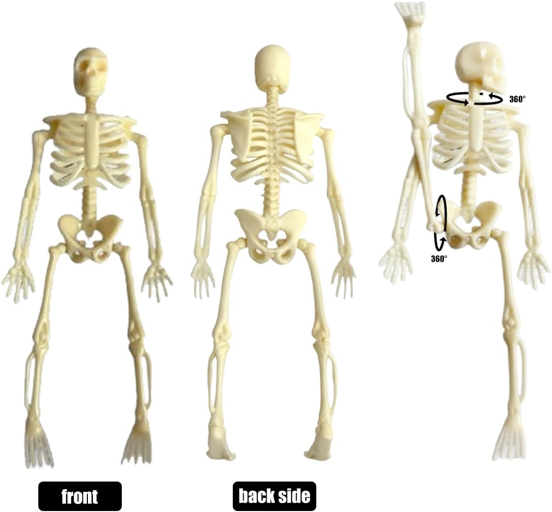 Skiennix Mini Skeletons | 20 Pcs Posable 6" Halloween Figurines for Spooky Decor & Party Favors