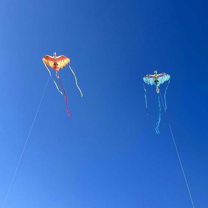 Mint's Colorful Life Dragon Kite for Kids & Adults, Easy to Fly Best Beach Kites for Beginners, 300ft Kite String Included
