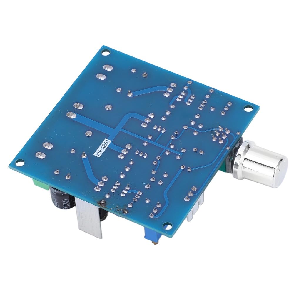 Chiffonade 2 15W+15W 24V Class A Amplifier Board Channel - DC Power Audio Module for Home Theater Speakers, Short