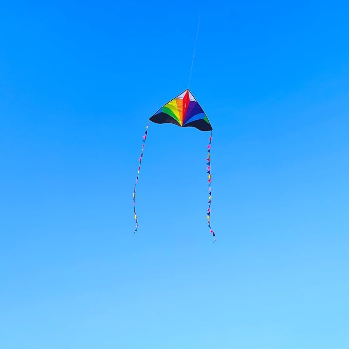 Delta Kite for Kids & Adults - Easy to Fly Large Single Line Beach Kite with 300ft String Handle Included, Perfect for Beginners, Teens
