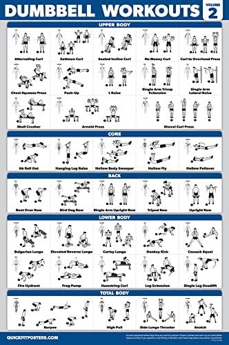 Palace Learning Dumbbell Workout Posters - Laminated Exercise Charts (18" x 24") | 3 Pack Volume 1, 2 & 3