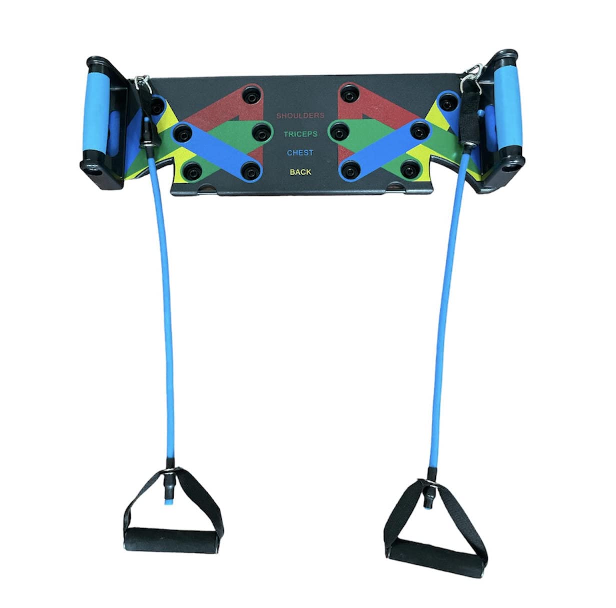 Push Up Board with Labeled Muscle Groups, Multicolor
