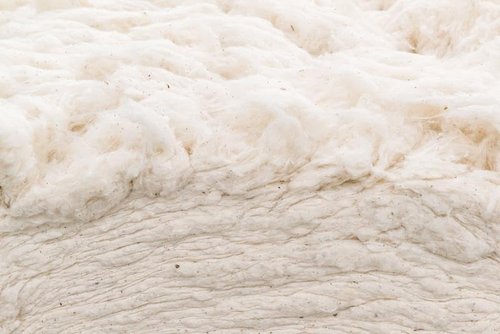 Grown In The USA Raw Cotton Stuffing - Eco-Friendly 3lb Natural Batting Material
