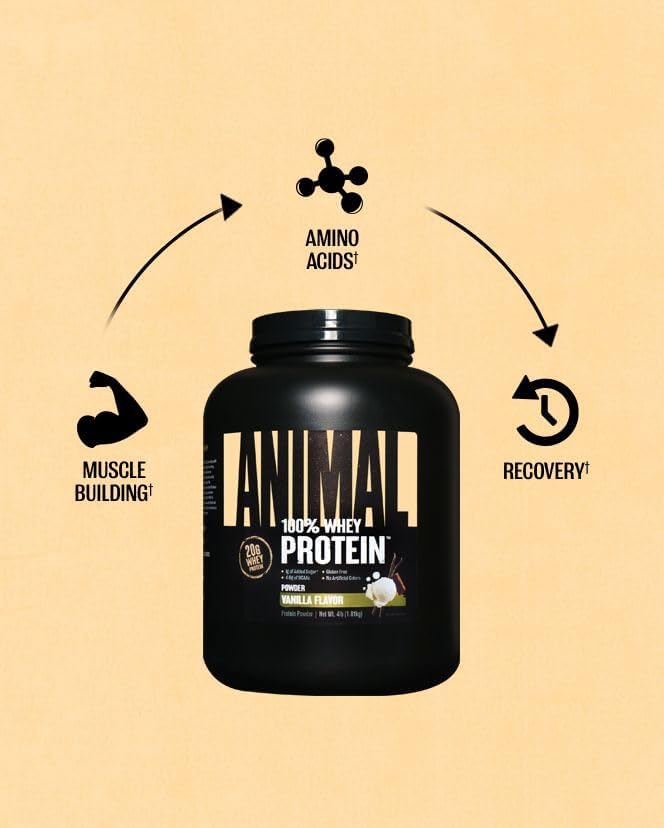 Animal 100% Whey Protein Powder ??Whey Blend for Pre Workout or Post Workout, Recovery, or an Anytime Low Sugar Protein Boost Meal Replacement with BCAA Branched Chain Amino Acids ??Vanilla, 4 lb