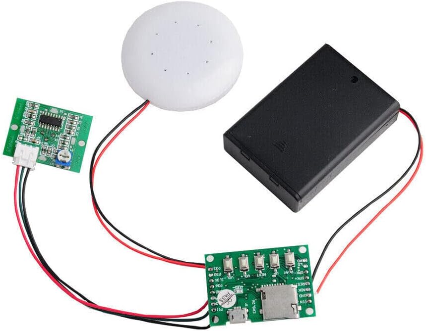 TEAMWILL MP3 Compact Voice Recorder with Playback and PIR Sensor