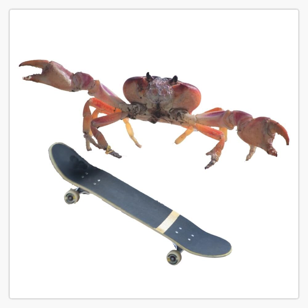 Mayram Designs 5" Crab Doing a Really Sick Kickflip Sticker Decal Laptop Car Window Vinyl