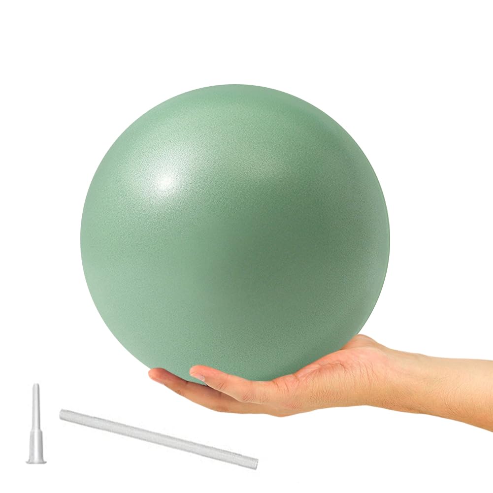 ElwynnLane 9 Inch Exercise Pilates Ball Mini Exercise Barre Ball for Yoga,Stability Exercise Training Gym Anti Burst and Slip Resistant Balls Physical Therapy Improves Balance