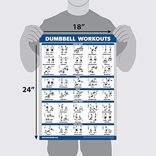 Palace Learning 4 Pack - Laminated Workout Charts for Dumbbell, Barbell, Bodyweight & Kettlebell | 18” x 24”