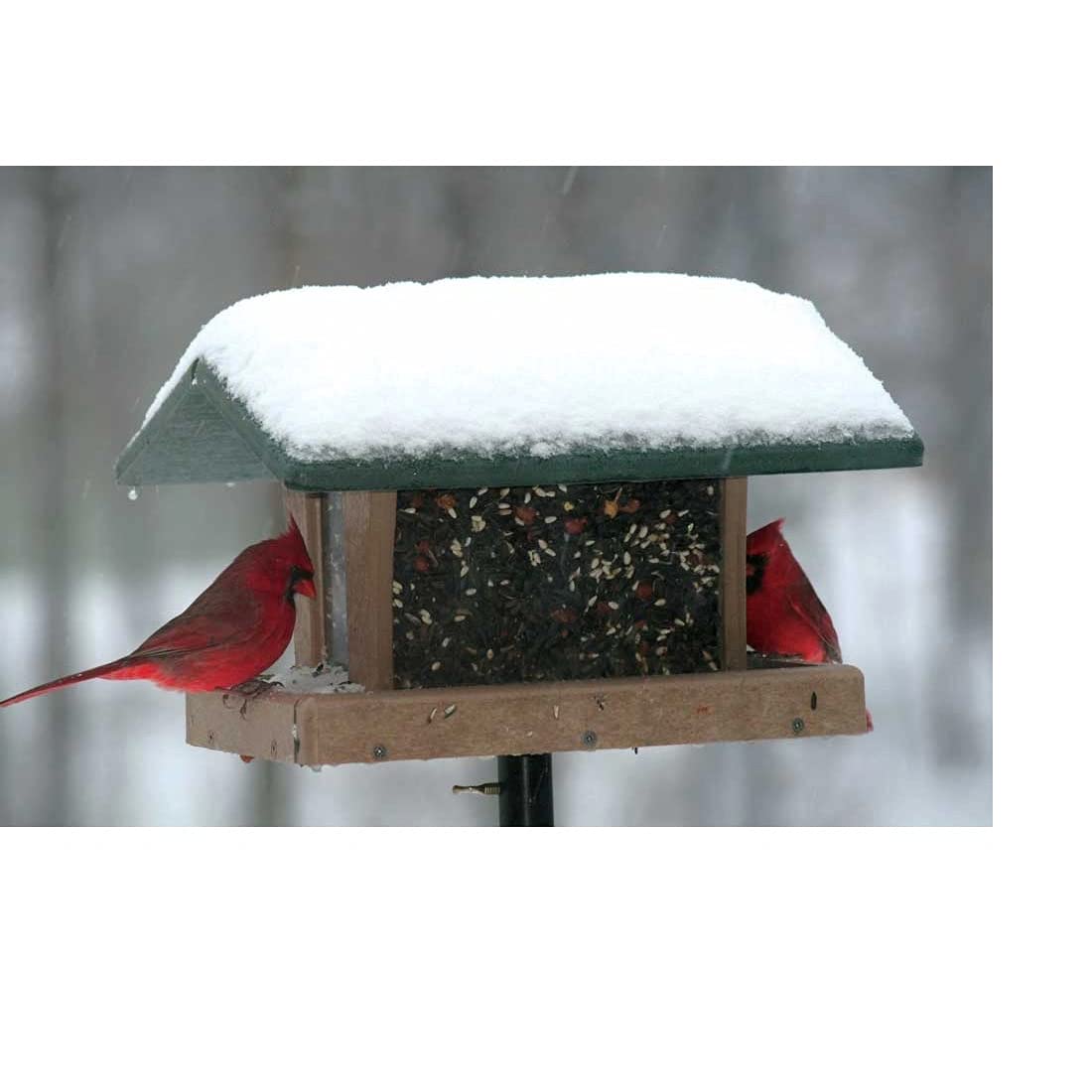 Birds Choice SN4-200S Four-Sided Hopper Feeder, Recycled Bird Feeder, Medium, Taupe/Green