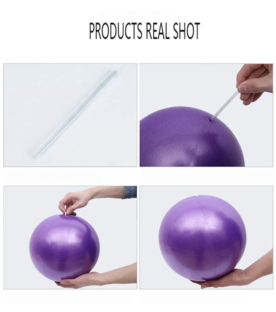 MOMPLUS 9 Inch Exercise Pilates Mini Yoga Balls Barre for Home Stability Squishy Training Physical Therapy Improves Balance with Inflatable Straw(Blue)