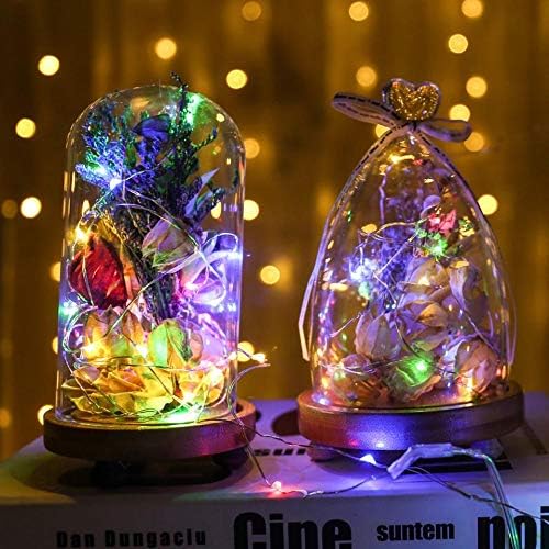 Skiennix Waterproof LED String Lights - 2 Pack 20ft 60 LED Fairy Lights | Multicolor Copper Wire