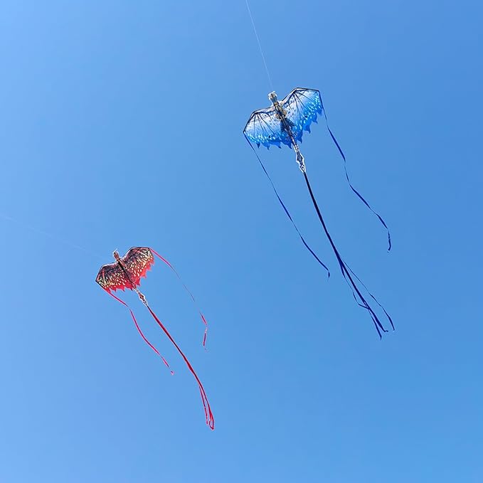 Mint's Colorful Life Dragon Kite for Kids & Adults, Easy to Fly Best Beach Kites for Beginners, 300ft Kite String Included