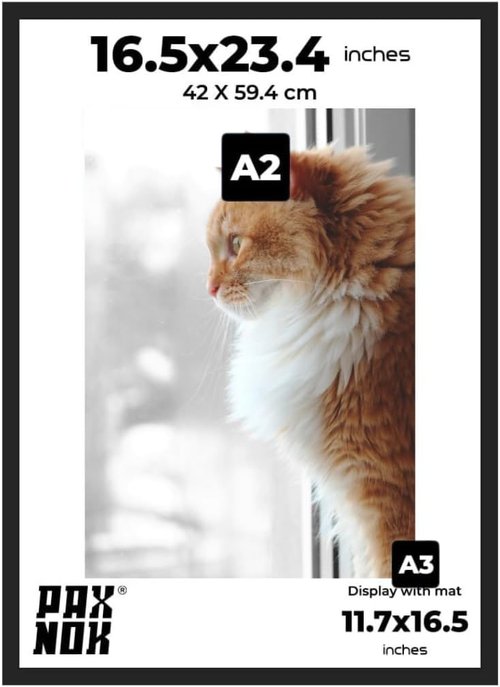 A2 Picture Frame - Premium Glossy Black Plastic with Shatterproof Plexiglass | 16.5"x23.4" for Art and Photos