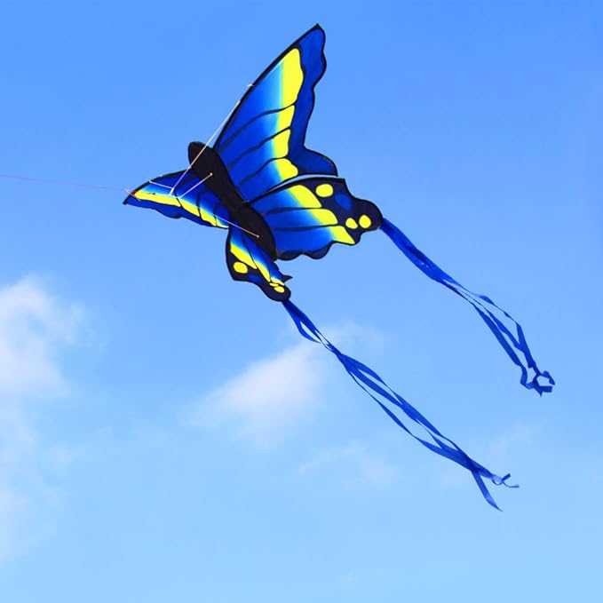 HENGDA KITE 2 Pack Butterfly Kite,for Kids and Adults,Easy to Fly,Excellent Fabric and Structure Design,The Pictures are Beautiful in high Definition,Suitable for Beginners(31x22)