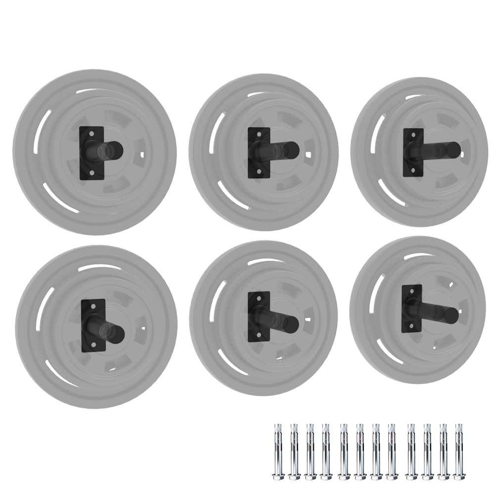 GarveeLife 6 Pack Wall Mounted Weight Plate Holder,Weight Plate Rack for for 2" Bumper Plates, Max Weight Capacity 300 Lb, Home Gym Organizer