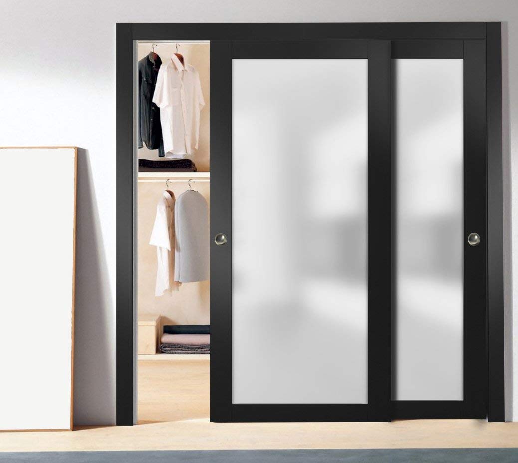 SARTODOORS Slab Barn Door Panel Frosted Glass Lite | Planum 2102 Matte Black | Sturdy Finished Modern Doors | Pocket Closet Sliding -30" x 80"