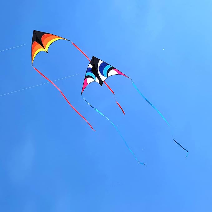Delta Kite for Kids & Adults - Easy to Fly Large Single Line Beach Kite with 300ft String Handle Included, Perfect for Beginners, Teens