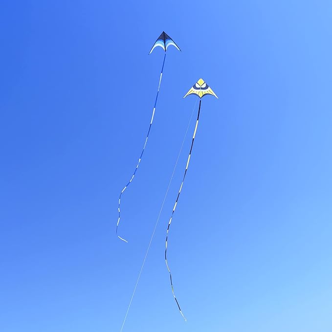 Delta Kite for Kids & Adults - Easy to Fly Large Single Line Beach Kite with 300ft String Handle Included, Perfect for Beginners, Teens