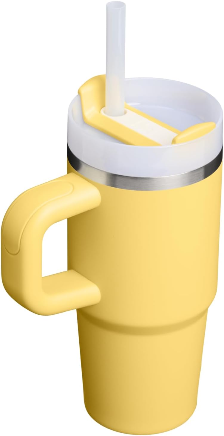 STANLEY Quencher H2.0 Tumbler - Insulated 14 oz Stainless Steel Cup with Handle & Straw | BPA-Free Daffodil