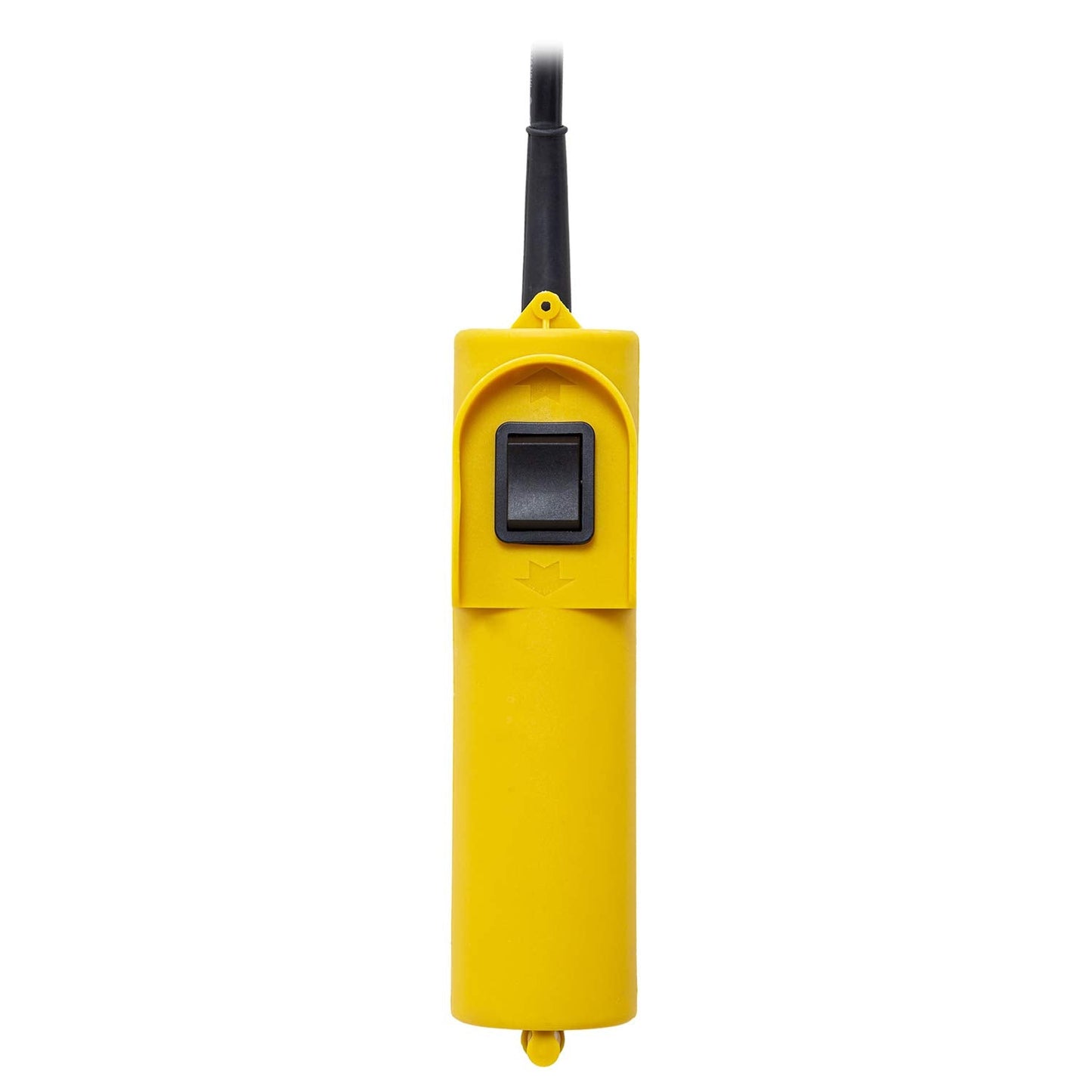 Prowinch Electric Hoist, 110V/120V, 2200lbs Lifting Capacity, 38ft Lifting Height, Wired Remote Control, Upper & Lower Limit Switches for Home Improvement, Warehouse Clearance, Garage Hoist System