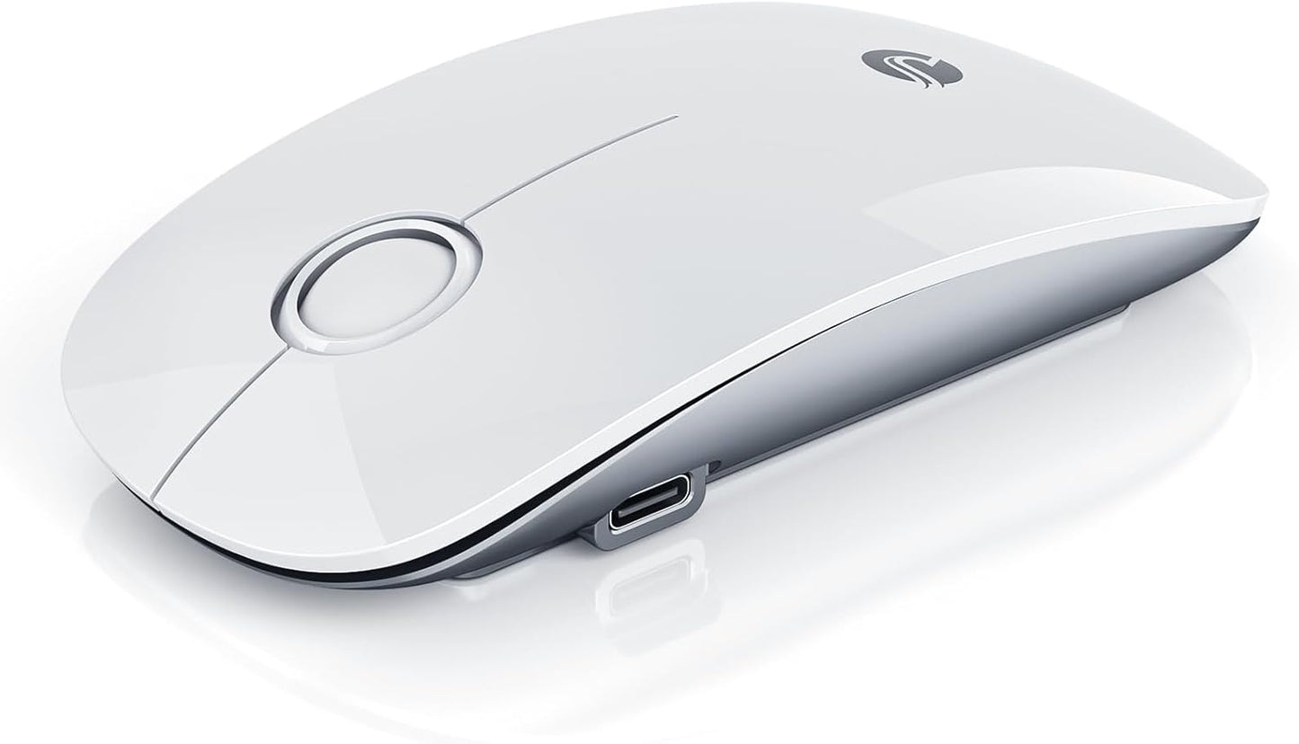 RAPIQUE R306 2.4G, Symmetrical Pro Wireless Mouse, Dual Bluetooth & Type-C Rechargeable, Silent Click, Slim Design