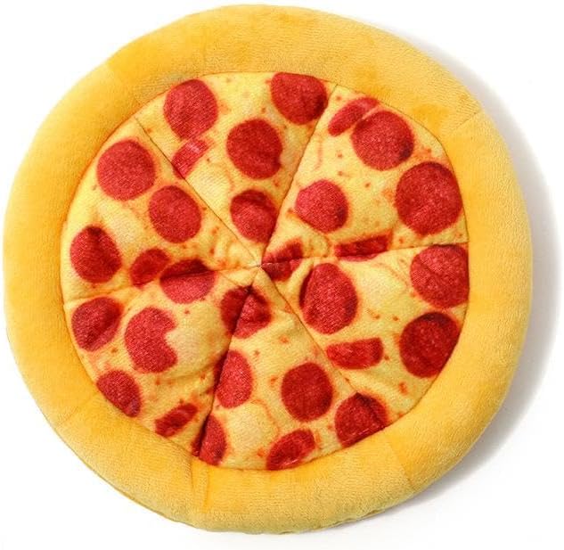 Pizza Flying Disc Toy