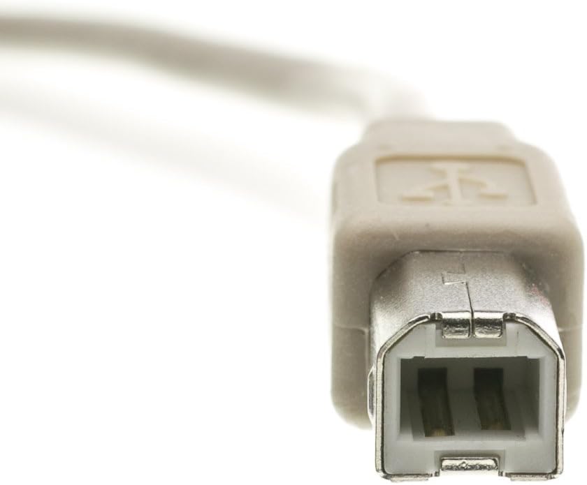 10 2.0 2.0 CableWholesale feet USB Printer/Device Cable, Beige, Type A Male/Type B Male Plug, A Male to B Male High