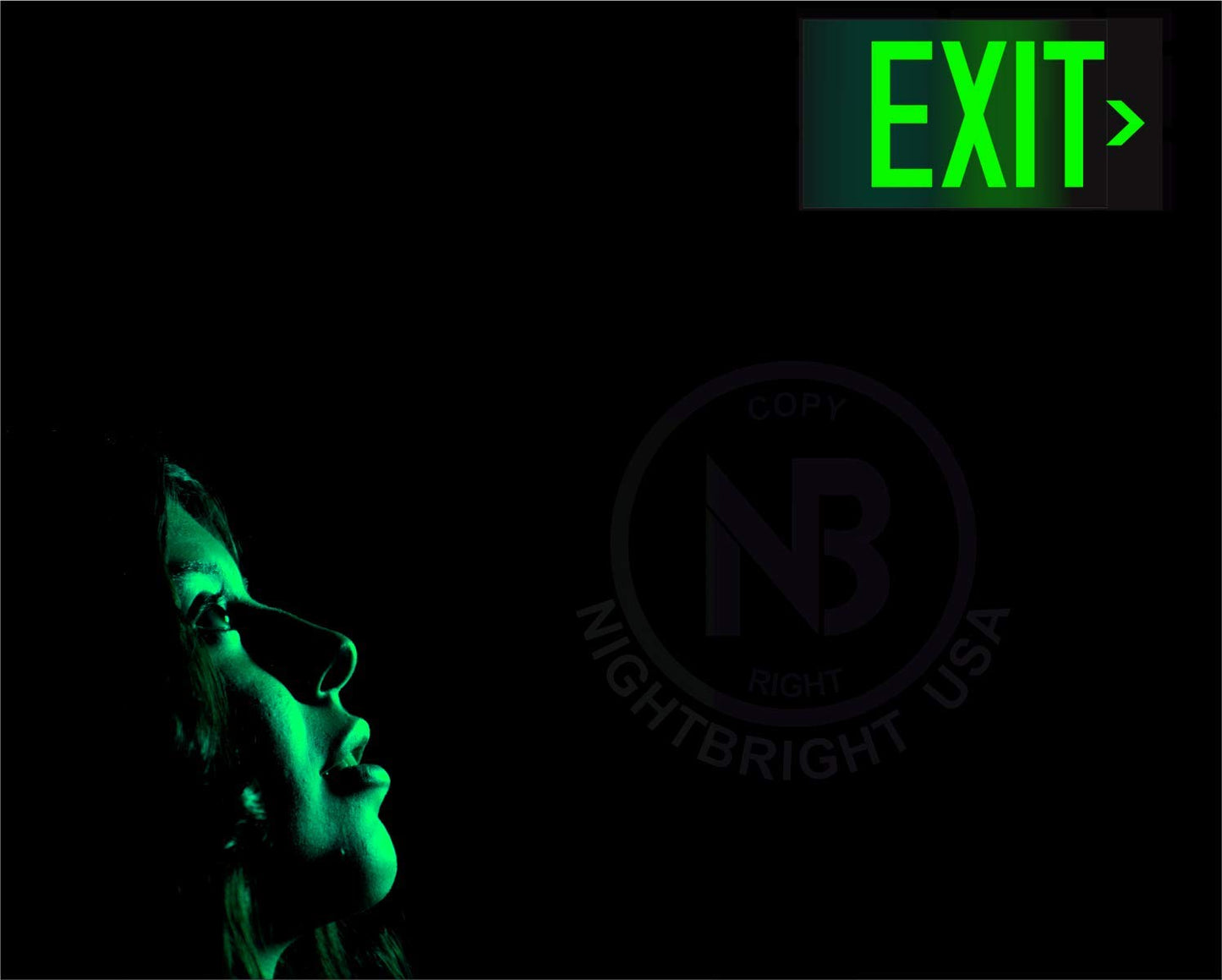 Photoluminescent Exit Sign Green - Pack of 2 - Aluminum - UL 924 Code Approved/IBC/NFPA 101 / NightBright USA Part Number ULG-050 II