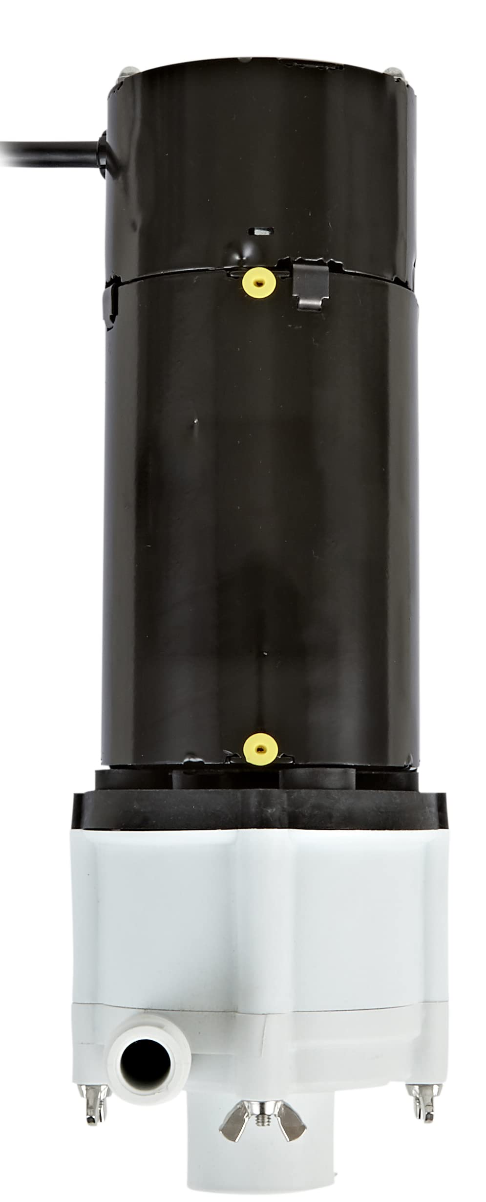 Little Giant 3-MDQX-SC 115-Volt, 1/15 HP, 1000 GPH, Non-Submersible Magnetic Drive Free Flow Aquarium Circulation Pump, 6-Ft. Cord, Black/White, 581507