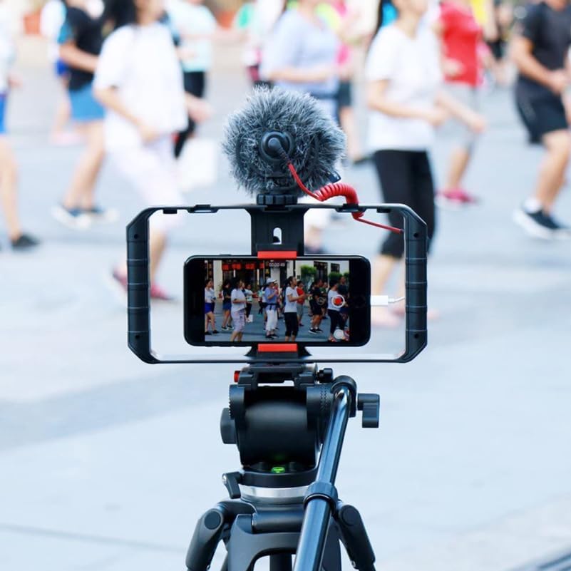 ARTIBETTER Filmmaking 9.84X5.11X1.57In Mobile Phone Video Rig Handheld Camera Holder with Cold Shoe Mounts
