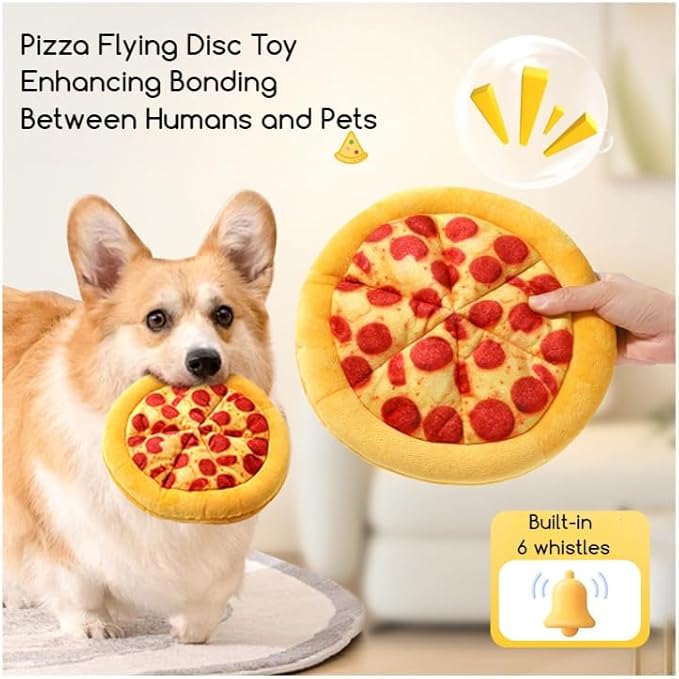 Pizza Flying Disc Toy