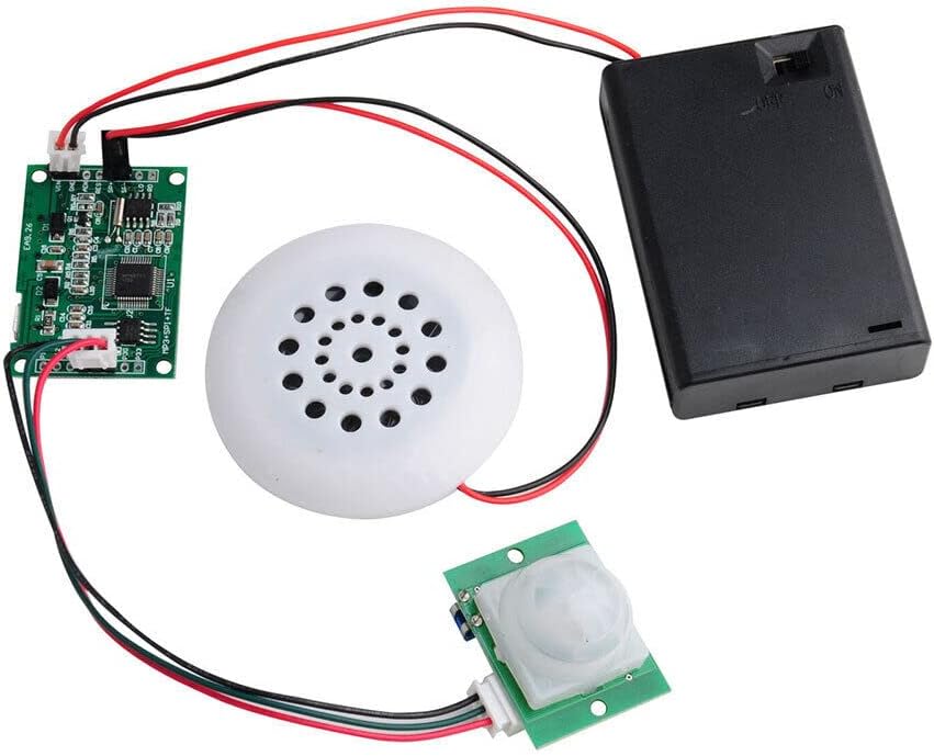 TEAMWILL MP3 Compact Voice Recorder with Playback and PIR Sensor