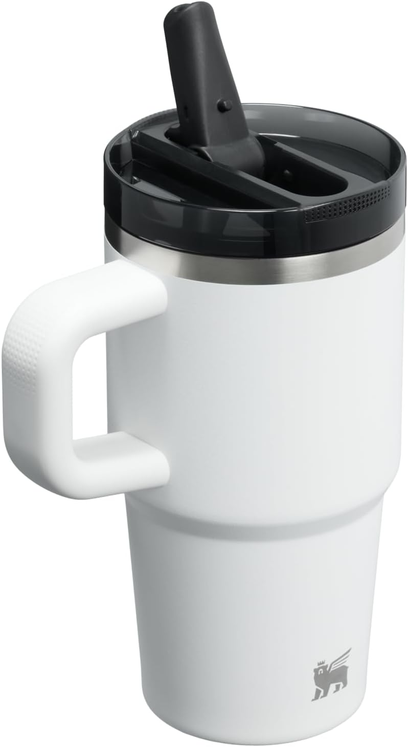 STANLEY Quencher ProTour 20 oz Tumbler - Leakproof Lid, Built-In Straw & Handle | Insulated Stainless Steel | BPA-Free | Chalk