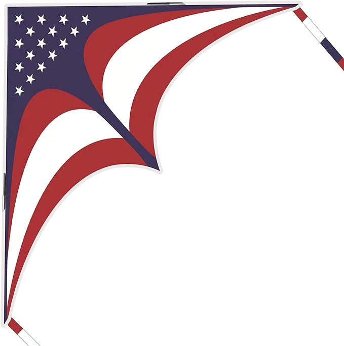 Mint's Colorful Life Delta Kite for Kids & Adults, Extremely Easy to Fly Kite, Best Kites for Beginner