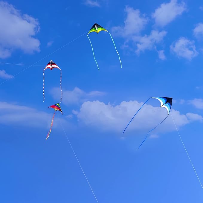 Mint's Colorful Life Delta Kite for Kids & Adults, Extremely Easy to Fly Kite, Best Kites for Beginner