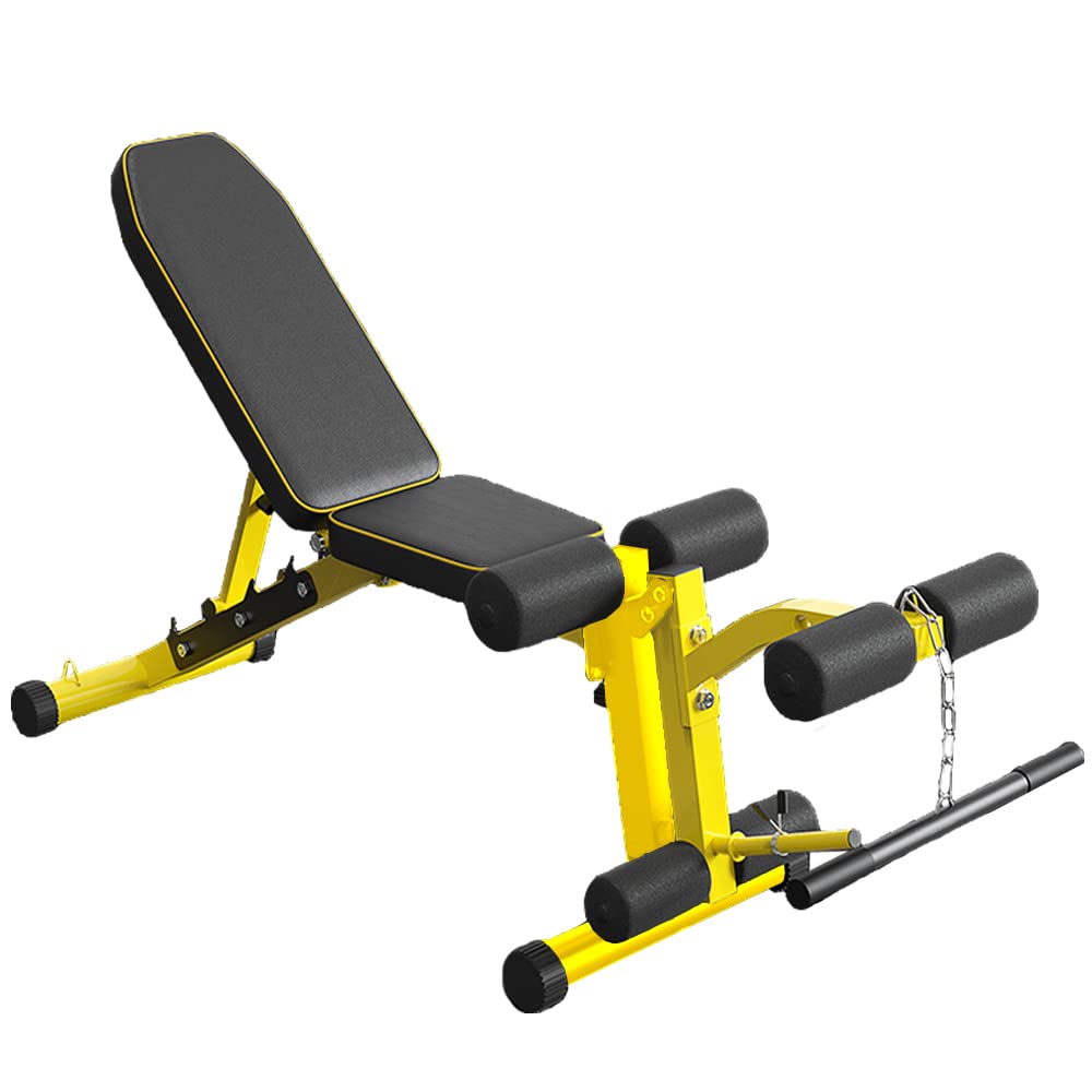 Utility Weight Bench with Leg Extension - Multi-Position Adjustable Bench for Strength Training, Dumbbell Exercise and Ab Workouts