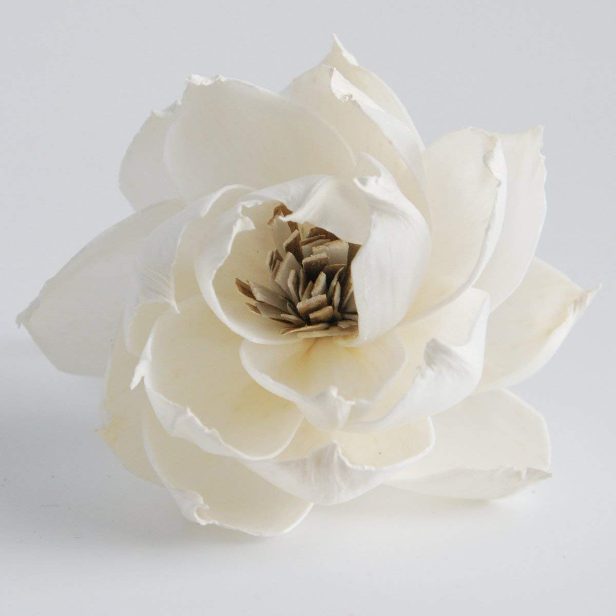 plawanature 5 Peony Auguste Dessert Flower 3" Sola Flower Reed Diffuser for Home Fragrance