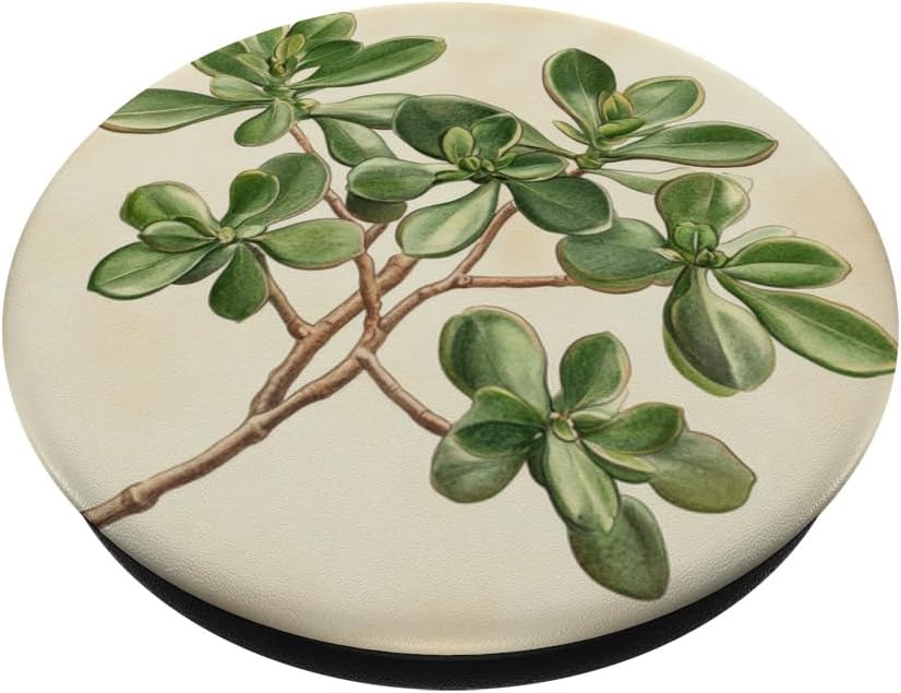 Antique Plant Botanical Art Garden DonaOnca Succulent Jade Plant Vintage Scientific Illustration Plant PopSockets
