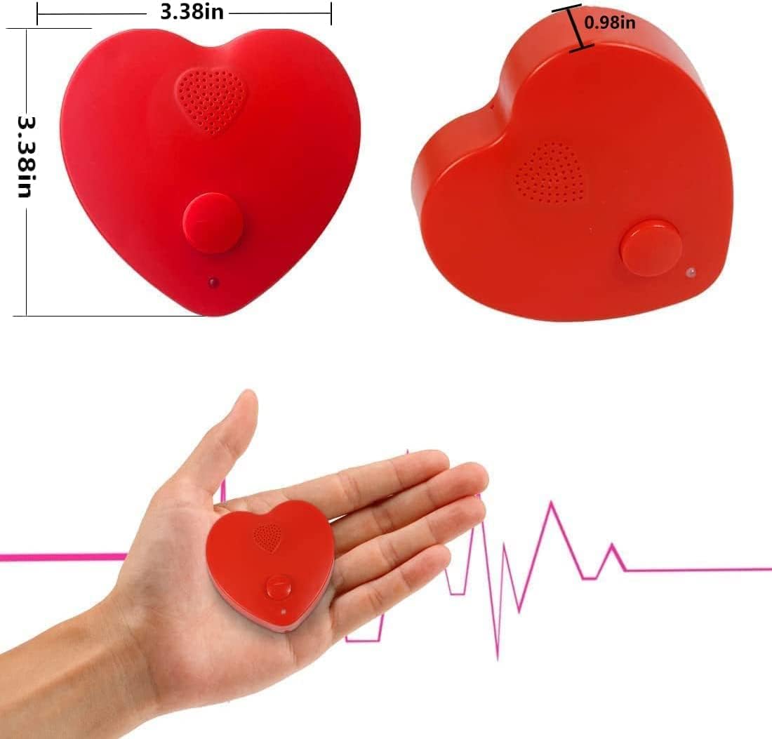 JRGKJCP 5min Voice Recorder for Stuffed Animal, Personal Voice Message Recordable Sound Recorder Chips Module