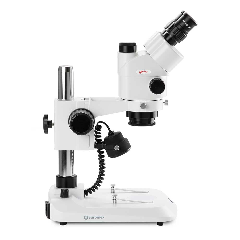 Trinocular Stereo Zoom Microscope Stereoblue, 0.7x To 4.5x Zoom Objective, Magnification 7x to 45x Ergonomically Pillar Stand with Incident And Transmitted LED Illumination, Globe Scientific | Euromex