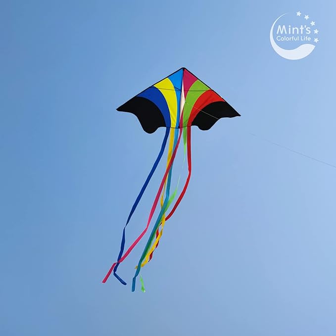 Mint's Colorful Life Delta Kite for Kids & Adults, Extremely Easy to Fly Kite, Best Kites for Beginner