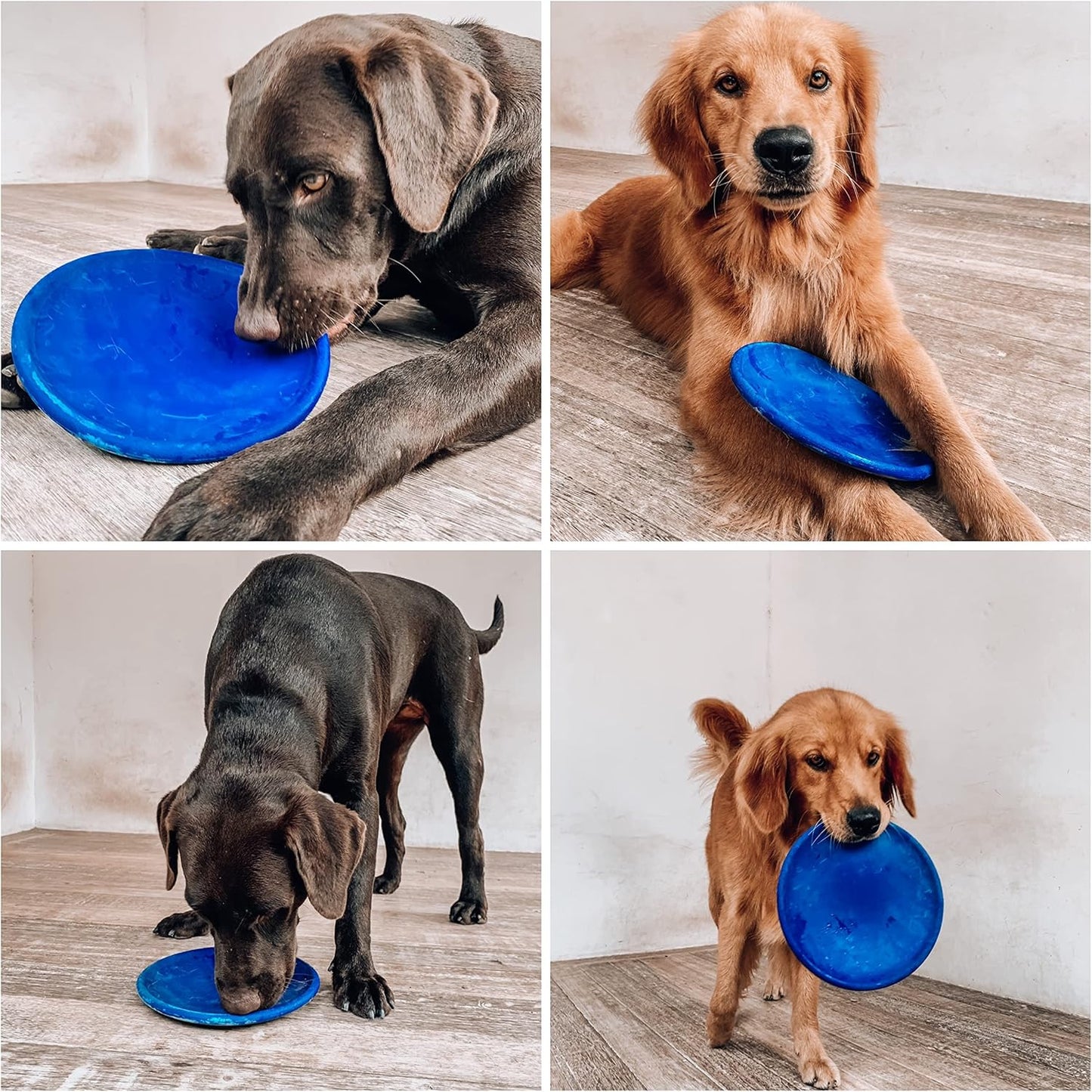 Ultra Durable Rubber Flying Disc Dog Toy for Aggressive Chewers – Heavy Duty Natural Rubber Frisbee for Large Dogs – Interactive Fetch & Tug Toy – Safe Lightweight Outdoor Training Disc – Blue