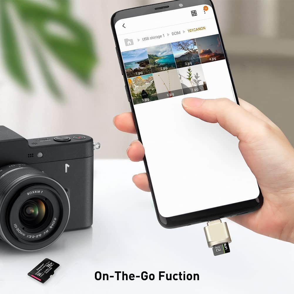 leizhan Type C Micro SD/TF Card Reader with Keychain,USB C to Micro SD SDHC SDXC OTG Memory Reader, Type C Card Reader