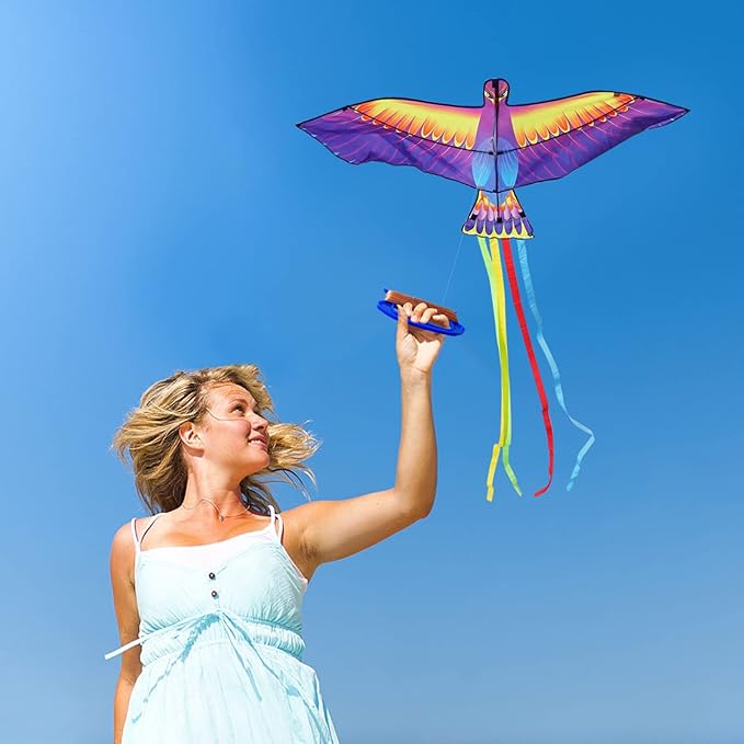 Mint’s Colorful Life Large Kite for Kids and Adults, Easy to Fly Single Line Beach Kites, Comes with 300ft String Handle