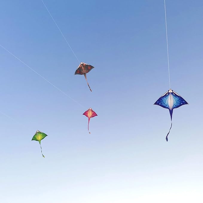 Mint's Colorful Life Devil Fish Kite for Kids and Adults，Easy to Fly Delta Kites Single Line Large, 300ft Kite String Handle Include