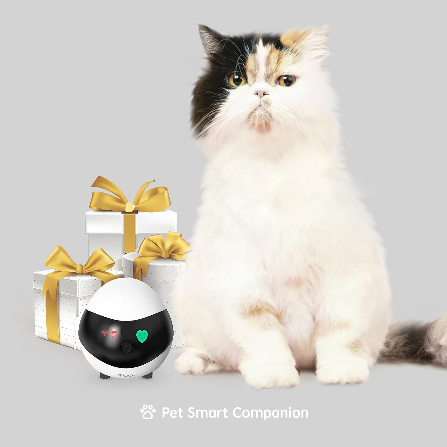 Enabot EBO SE FamilyBot Home Camera Robot: 1080P Movable Pet Camera Indoor, Battery-Operated, Auto-Recharge, Night Vision, 2-Way Talk, Local Storage, APP Control