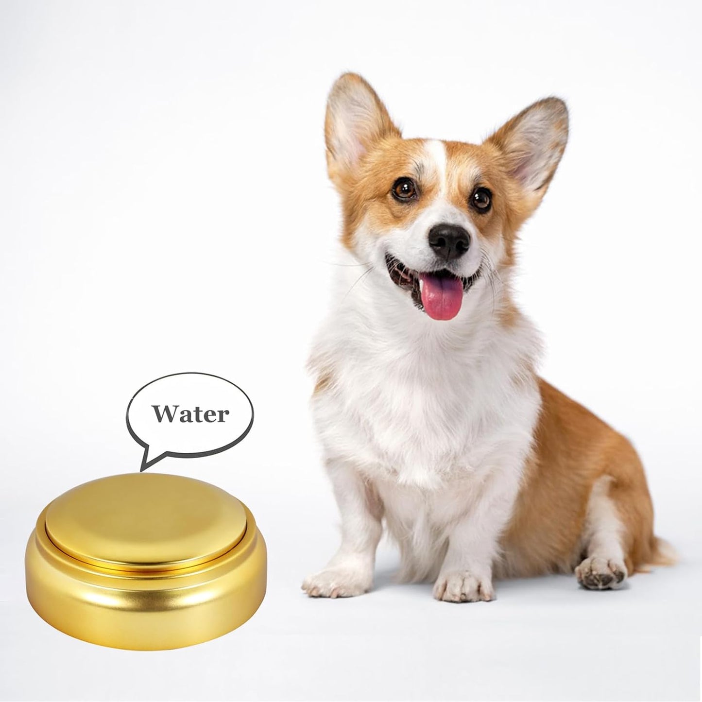 Wariolle 30 Gold Voice Custom Recordable Buttons Second Voice Dog Talking Buttons Recordable and Playback Message